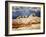 Valley Beauty I-David Drost-Framed Photographic Print