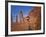 Valley Beauty VI-David Drost-Framed Photographic Print