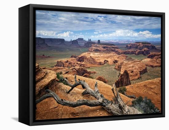 Valley Beauty VII-David Drost-Framed Premier Image Canvas