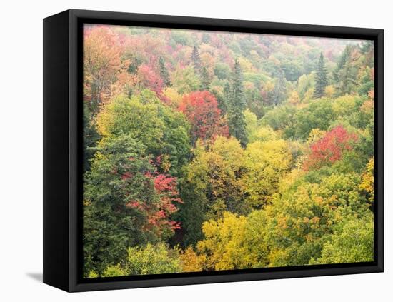 Valley below the Cut River Bridge with Lake Michigan on the Other Side of the Bridge.-Julianne Eggers-Framed Premier Image Canvas