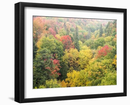 Valley below the Cut River Bridge with Lake Michigan on the Other Side of the Bridge.-Julianne Eggers-Framed Photographic Print