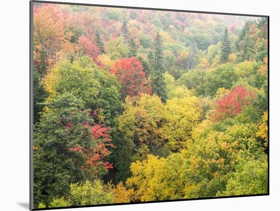 Valley below the Cut River Bridge with Lake Michigan on the Other Side of the Bridge.-Julianne Eggers-Mounted Photographic Print