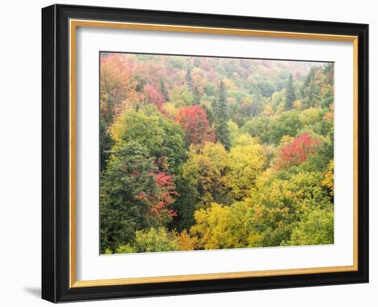 Valley below the Cut River Bridge with Lake Michigan on the Other Side of the Bridge.-Julianne Eggers-Framed Photographic Print