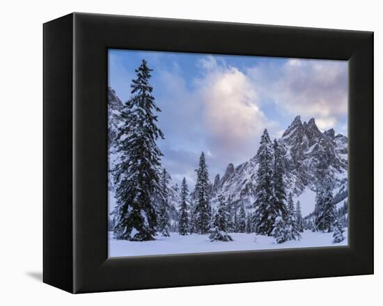 Valley Fischleintal in Winter, Mt Einserkofel. Sexten Dolomites, Italy-Martin Zwick-Framed Premier Image Canvas