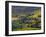 Valley Floor at Dawn, Grange Sous La Neige, Midi-Pyrenees, France-Doug Pearson-Framed Photographic Print