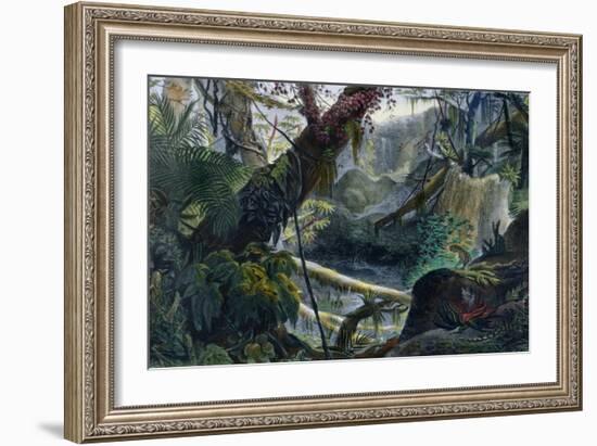 Valley in the Serra Do Mar, Voyage Pittoresque et Historique Au Bresil by Debret-Jean Baptiste Debret-Framed Giclee Print