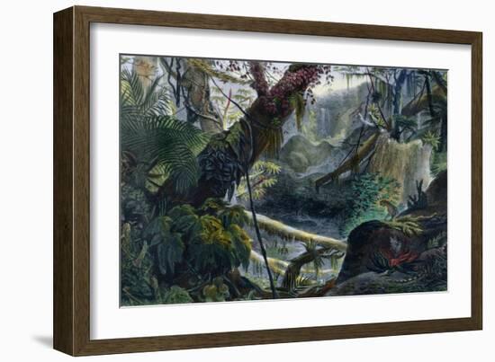 Valley in the Serra Do Mar, Voyage Pittoresque et Historique Au Bresil by Debret-Jean Baptiste Debret-Framed Giclee Print