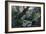 Valley in the Serra Do Mar, Voyage Pittoresque et Historique Au Bresil by Debret-Jean Baptiste Debret-Framed Giclee Print