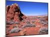 Valley of Fire State Park, Nevada, USA-Charles Sleicher-Mounted Photographic Print