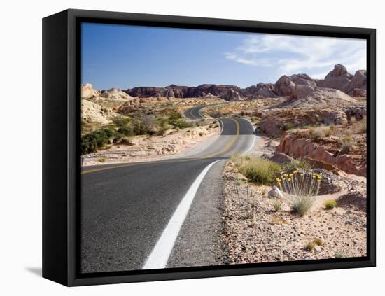 Valley of Fire State Park, Nevada, USA-Diane Johnson-Framed Premier Image Canvas