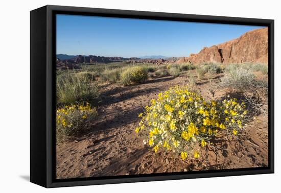 Valley of Fire State Park Outside Las Vegas, Nevada, United States of America, North America-Michael DeFreitas-Framed Premier Image Canvas