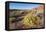 Valley of Fire State Park Outside Las Vegas, Nevada, United States of America, North America-Michael DeFreitas-Framed Premier Image Canvas