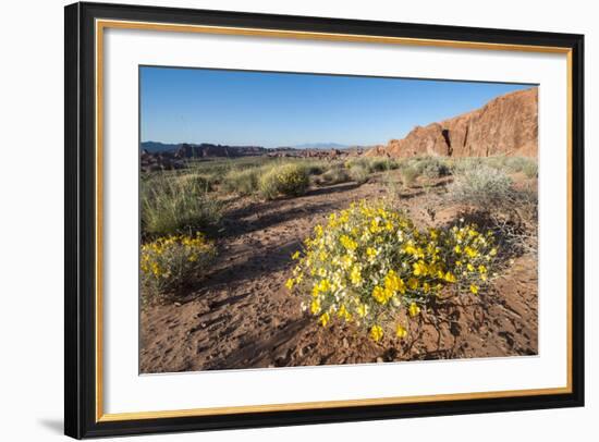 Valley of Fire State Park Outside Las Vegas, Nevada, United States of America, North America-Michael DeFreitas-Framed Photographic Print