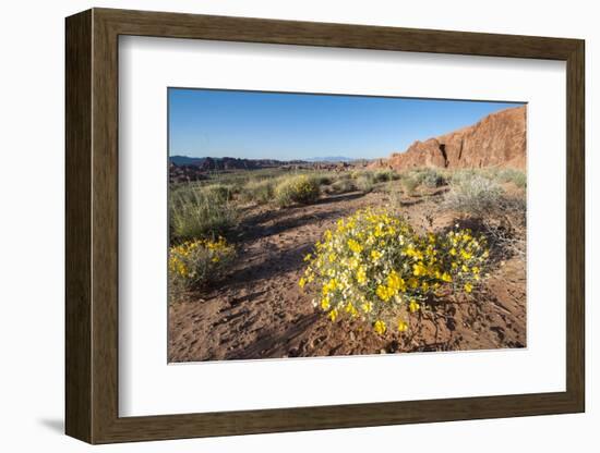 Valley of Fire State Park Outside Las Vegas, Nevada, United States of America, North America-Michael DeFreitas-Framed Photographic Print