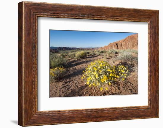 Valley of Fire State Park Outside Las Vegas, Nevada, United States of America, North America-Michael DeFreitas-Framed Photographic Print