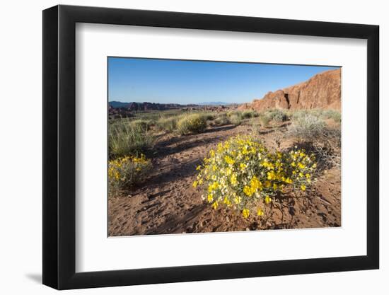 Valley of Fire State Park Outside Las Vegas, Nevada, United States of America, North America-Michael DeFreitas-Framed Photographic Print