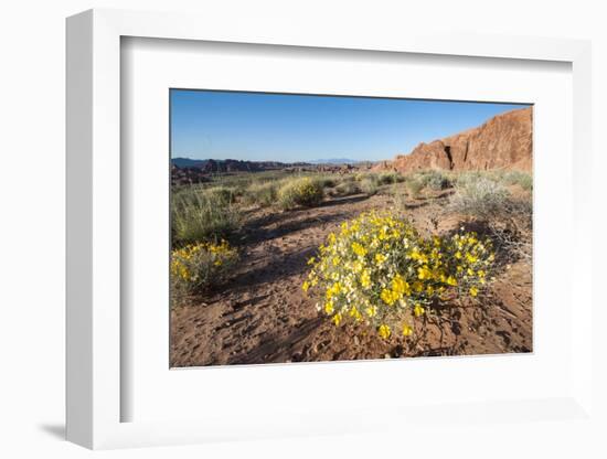 Valley of Fire State Park Outside Las Vegas, Nevada, United States of America, North America-Michael DeFreitas-Framed Photographic Print