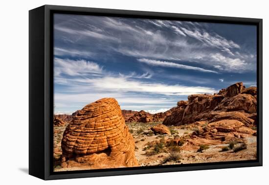 Valley of Fire-Danny Head-Framed Premier Image Canvas