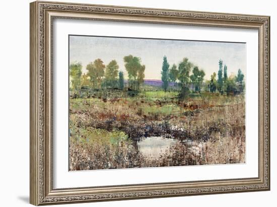 Valley Of Flowers-Tim O'toole-Framed Giclee Print