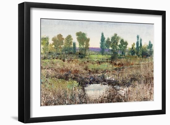 Valley Of Flowers-Tim O'toole-Framed Giclee Print