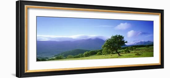 Valley of Lorton, English Lake District, Cumbria, England-null-Framed Photographic Print