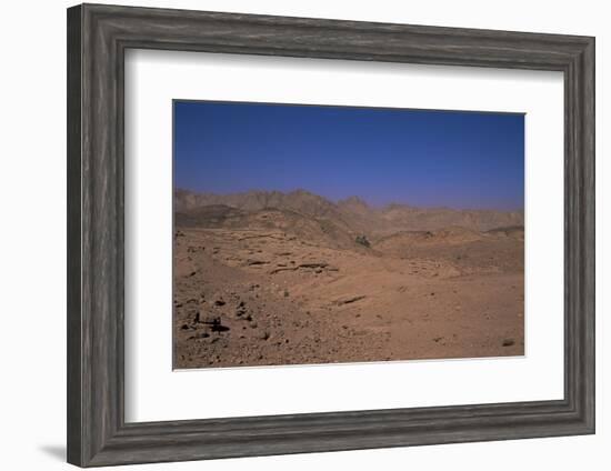 Valley of the Gazelles on the Road to St. Catherine's Monastery, Sinai Desert, Egypt-Nelly Boyd-Framed Photographic Print