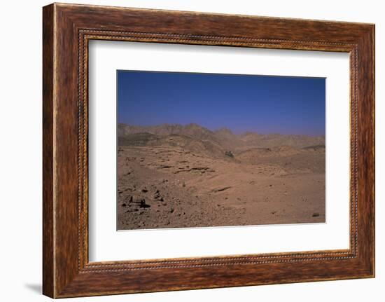 Valley of the Gazelles on the Road to St. Catherine's Monastery, Sinai Desert, Egypt-Nelly Boyd-Framed Photographic Print