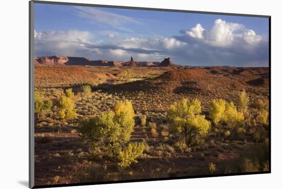 Valley of the Gods, Utah, USA-John Ford-Mounted Photographic Print