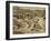 Valley of the Kings, C 1925-null-Framed Photographic Print