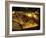 Valley of the Kings, Golden Coffin, Tutankhamun, Egypt-Kenneth Garrett-Framed Photographic Print