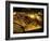 Valley of the Kings, Golden Coffin, Tutankhamun, Egypt-Kenneth Garrett-Framed Photographic Print