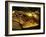 Valley of the Kings, Golden Coffin, Tutankhamun, Egypt-Kenneth Garrett-Framed Photographic Print