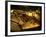 Valley of the Kings, Golden Coffin, Tutankhamun, Egypt-Kenneth Garrett-Framed Photographic Print