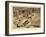 Valley of the Kings, Tut's Tomb-null-Framed Art Print