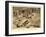 Valley of the Kings, Tut's Tomb-null-Framed Art Print