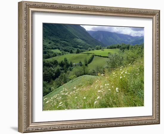 Valley of the River Berthe Near Accous, Bearn, Pyrenees, Aquitaine, France, Europe-David Hughes-Framed Photographic Print