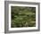 Valley of Valvigneres, Ardeche, Rhone Alpes, France-Michael Busselle-Framed Photographic Print