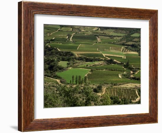 Valley of Valvigneres, Ardeche, Rhone Alpes, France-Michael Busselle-Framed Photographic Print