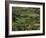 Valley of Valvigneres, Ardeche, Rhone Alpes, France-Michael Busselle-Framed Photographic Print