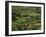 Valley of Valvigneres, Ardeche, Rhone Alpes, France-Michael Busselle-Framed Photographic Print