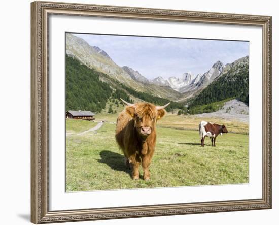 Valley Pfossental, Tyrol, Austria-Martin Zwick-Framed Photographic Print