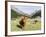 Valley Pfossental, Tyrol, Austria-Martin Zwick-Framed Photographic Print