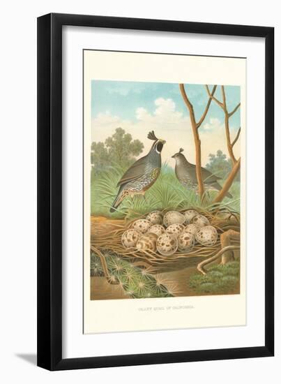 Valley Quail Nest and Eggs-null-Framed Art Print