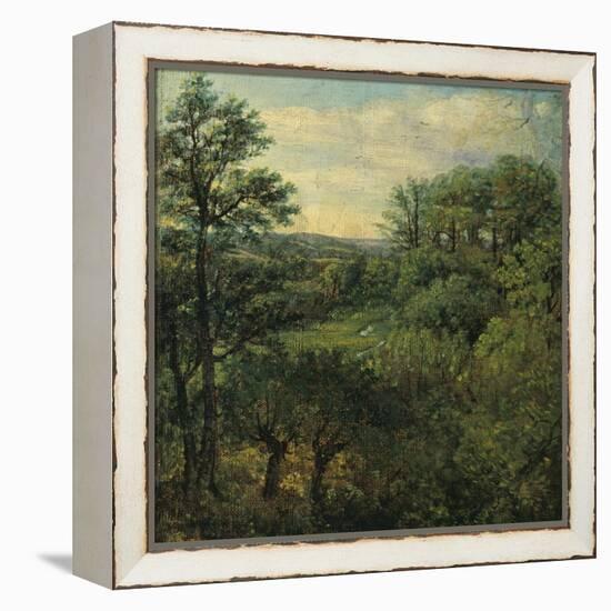 Valley Scene with Trees-John Constable-Framed Premier Image Canvas