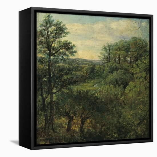 Valley Scene with Trees-John Constable-Framed Premier Image Canvas