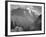 Valley Snow Covered Mountains In Background "In Glacier National Park" Montana. 1933-1942-Ansel Adams-Framed Art Print