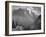 Valley Snow Covered Mountains In Background "In Glacier National Park" Montana. 1933-1942-Ansel Adams-Framed Premium Giclee Print