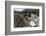 Valley View, Bandelier National Monument, NM-George Oze-Framed Photographic Print