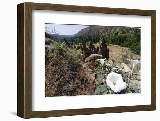 Valley View, Bandelier National Monument, NM-George Oze-Framed Photographic Print