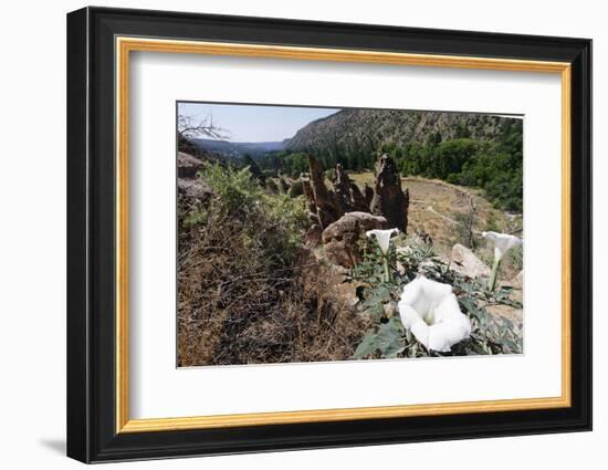 Valley View, Bandelier National Monument, NM-George Oze-Framed Photographic Print